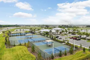 6097 Golden Nettle Dr, Apollo Beach, FL 33572 - Photo 52