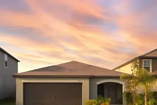 16725 Delia St, Wimauma, FL 33598 - Photo 1