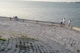 2700 Bayshore Blvd, Dunedin, FL 34698 - Photo 30