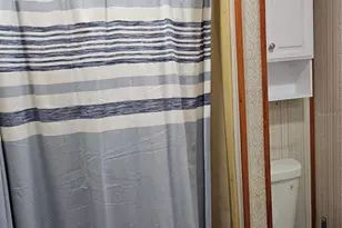 10104 Loetscher Ln, Lithia, FL 33547 - Photo 12