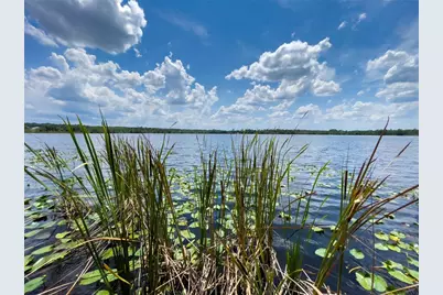 2292 SE 170th Avenue Road, Silver Springs, FL 34488 - Photo 12