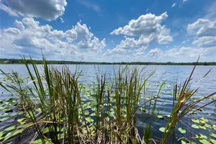 2292 SE 170th Avenue Rd, Silver Springs, FL 34488 - Photo 12