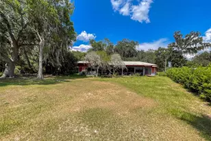 2292 SE 170th Avenue Rd, Silver Springs, FL 34488 - Photo 10