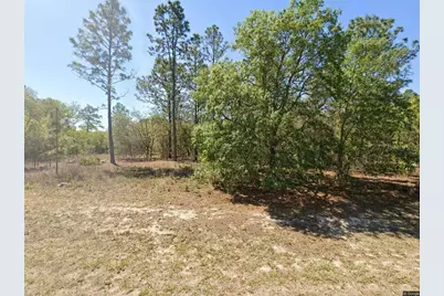 1816 W Hampshire Boulevard, Citrus Springs, FL 34434 - Photo 1