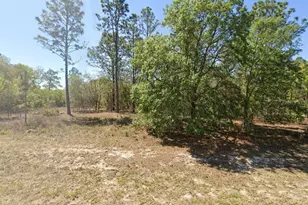 1816 W Hampshire Blvd, Citrus Springs, FL 34434 - Photo 1