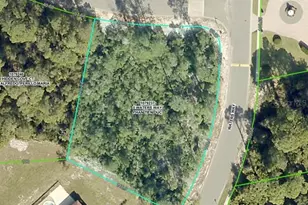 6121 Waters Way, Weeki Wachee, FL 34607 - Photo 1