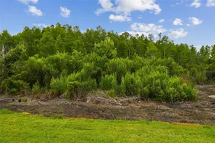 10422 Fenceline Rd, New Port Richey, FL 34655 - Photo 70