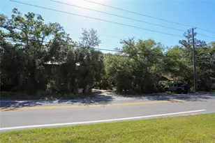 272 Orange St, Palm Harbor, FL 34683 - Photo 6