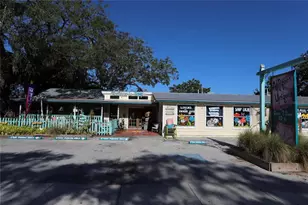 272 Orange St, Palm Harbor, FL 34683 - Photo 44