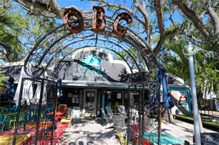 272 Orange St, Palm Harbor, FL 34683 - Photo 56