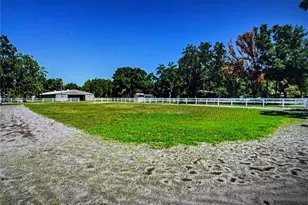 10502 Henderson Rd, Tampa, FL 33625 - Photo 1