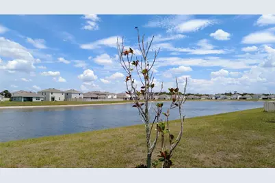 16728 Kingman Reef Street, Wimauma, FL 33598 - Photo 40