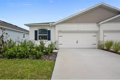 31471 Paper Birch Street, Wesley Chapel, FL 33545 - Photo 1