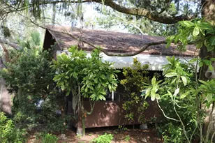 260 Orange St, Palm Harbor, FL 34683 - Photo 1
