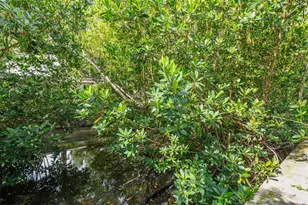 4806 W Euclid Ave, Tampa, FL 33629 - Photo 68