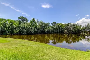 50 Ingrid Pl, Oldsmar, FL 34677 - Photo 50