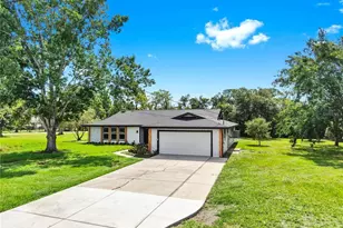 9903 Saddle Rd, Tampa, FL 33626 - Photo 1