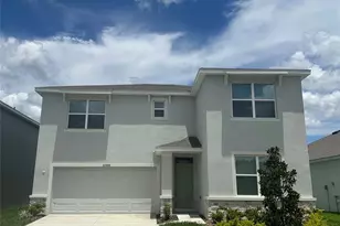 10588 Farm Hl Ave, Land O Lakes, FL 34638 - Photo 1