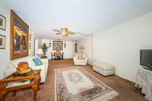 841 4th Ave N, Saint Petersburg, FL 33701 - Photo 14