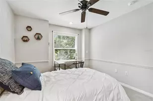 344 Cascade Ln, Palm Harbor, FL 34684 - Photo 56