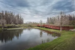 4222 Glade Wood Loop, New Port Richey, FL 34655 - Photo 92