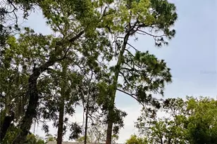 13186 Thrush St, Spring Hill, FL 34609 - Photo 48