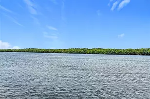 809 Bahia Del Sol Dr, Ruskin, FL 33570 - Photo 46