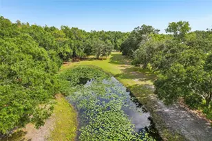 5321 Bruton Rd, Plant City, FL 33565 - Photo 36