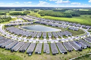 6019 Shorebird Br, Land O Lakes, FL 34638 - Photo 32