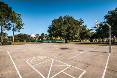 852 Village Way, Palm Harbor, FL 34683 - Photo 48