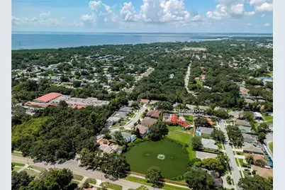 2406 Dana Drive, Safety Harbor, FL 34695 - Photo 58