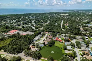 2406 Dana Dr, Safety Harbor, FL 34695 - Photo 58