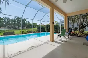 2406 Dana Dr, Safety Harbor, FL 34695 - Photo 46