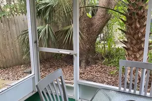 832 Cambridge Ct, Dunedin, FL 34698 - Photo 26