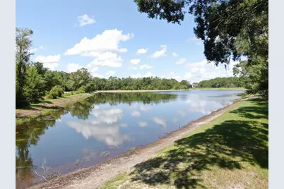 1753 Ranchette Road, Wesley Chapel, FL 33543 - Photo 16