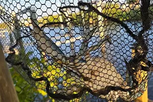 18093 Ohara Dr, Port Charlotte, FL 33948 - Photo 40