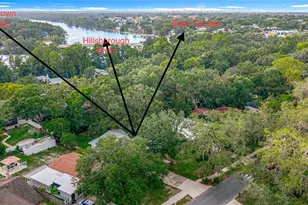 307 Fern Cliff Ave, Temple Terrace, FL 33617 - Photo 54