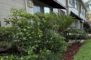 223 Windsor St, Lakeland, FL 33803 - Photo 28