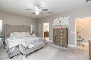 33191 Azalea Ridge Dr, Wesley Chapel, FL 33545 - Photo 44