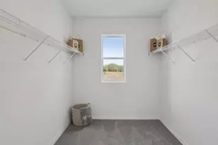 36187 Sunflower Hl Dr, Zephyrhills, FL 33541 - Photo 26