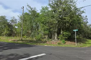 4771 N Redwood Ave, Hernando, FL 34442 - Photo 1