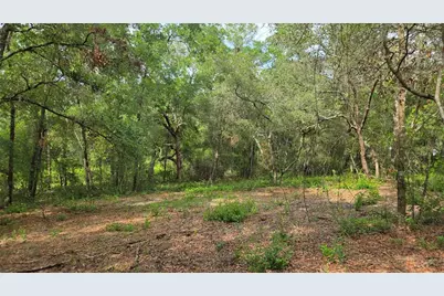 4771 N Redwood Avenue, Hernando, FL 34442 - Photo 34