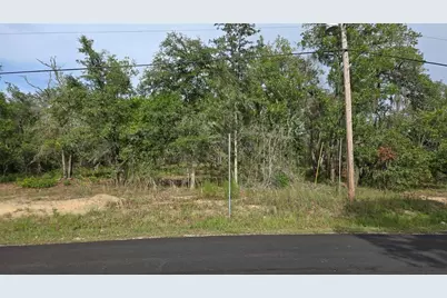 4811 N Redwood Avenue, Hernando, FL 34442 - Photo 24