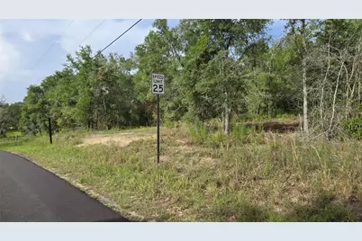 4811 N Redwood Avenue, Hernando, FL 34442 - Photo 2