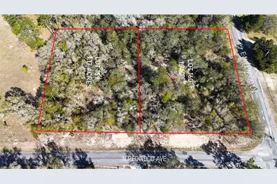 4811 N Redwood Avenue, Hernando, FL 34442 - Photo 6