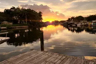 3995 South Cir, Largo, FL 33774 - Photo 8