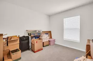 7774 Sail Clover Ln, Zephyrhills, FL 33540 - Photo 34