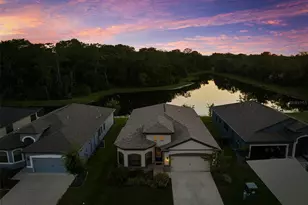 11597 Weaver Hollow Rd, New Port Richey, FL 34654 - Photo 2