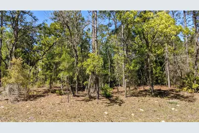 0 SW 97th Place, Dunnellon, FL 34432 - Photo 1