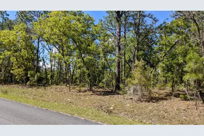 0 SW 97th Place, Dunnellon, FL 34432 - Photo 4